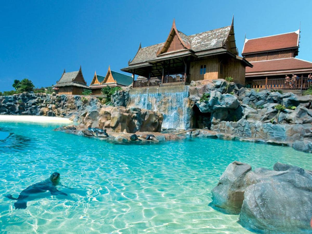 Comfortable Apartment Next To The Pools 阿德耶 外观 照片